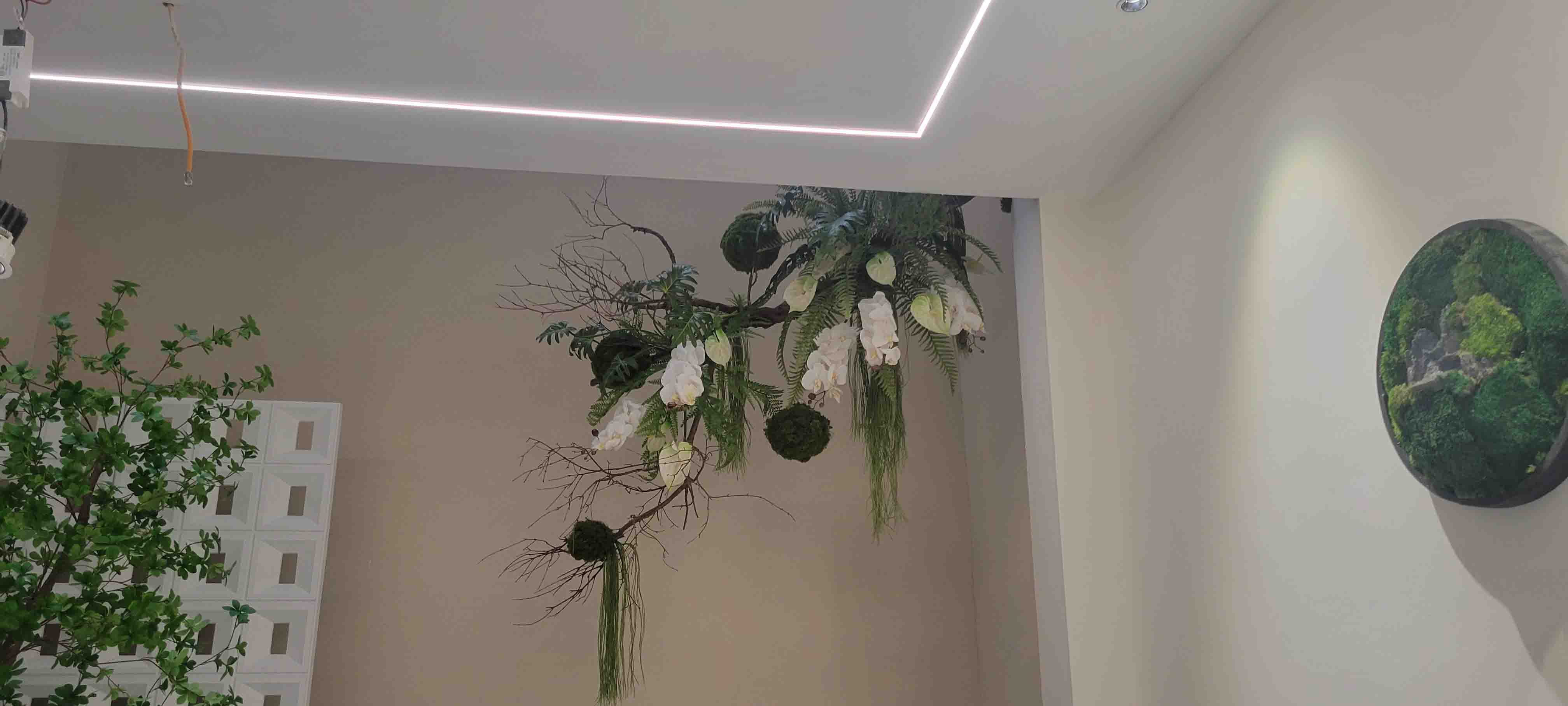 重庆墙壁造景仿真植物-选择绿植需要了解什么