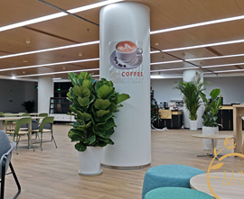 重庆树酒店花艺软装施工-凤仙花植物带你了解/>
<blockquote class=