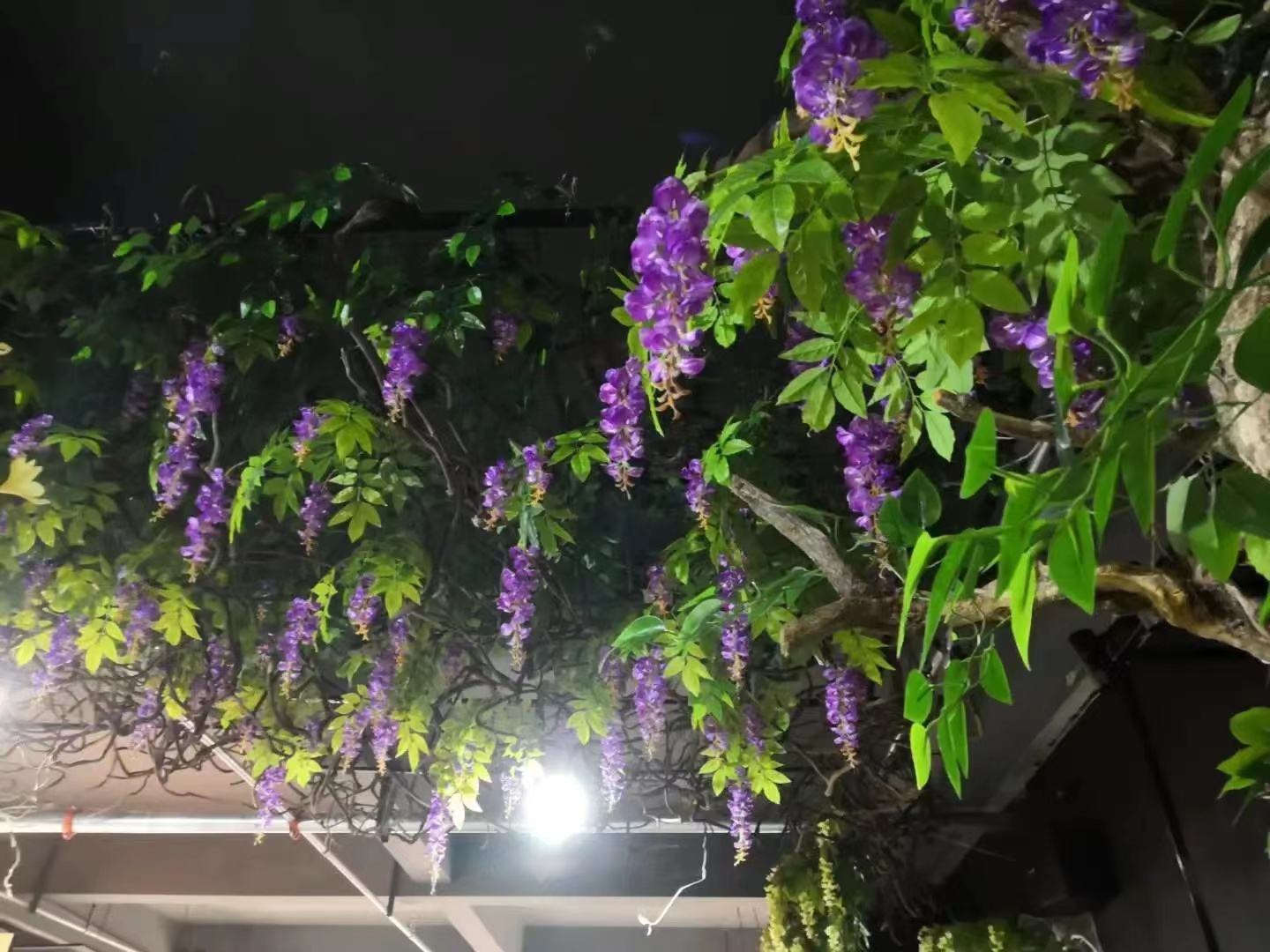 重庆高端仿真花批发联系方式