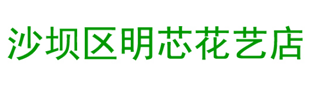 沙坪坝区明芯花艺店